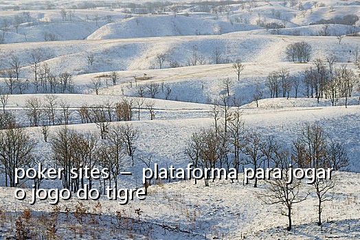 poker sites - plataforma para jogar o jogo do tigre