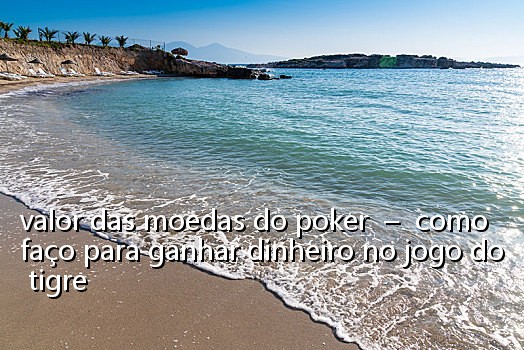 valor das moedas do poker - como faço para ganhar dinheiro no jogo do tigre