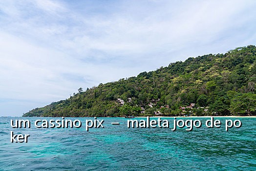um cassino pix - maleta jogo de poker