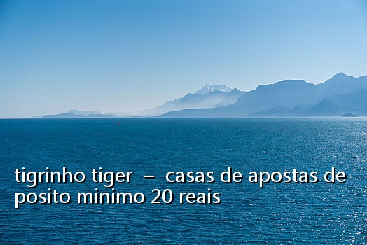 tigrinho tiger - casas de apostas deposito minimo 20 reais