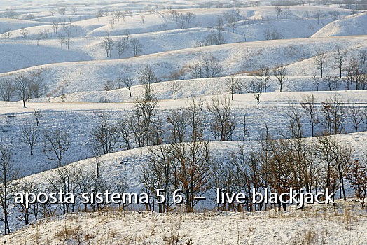 aposta sistema 5 6 - live blackjack