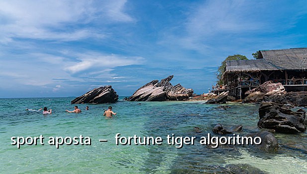 sport aposta - fortune tiger algoritmo