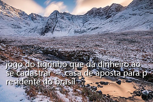 jogo do tigrinho que dá dinheiro ao se cadastrar - casa de aposta para presidente do brasil