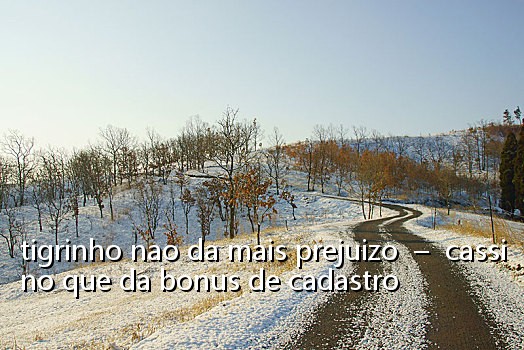 tigrinho nao da mais prejuizo - cassino que da bonus de cadastro