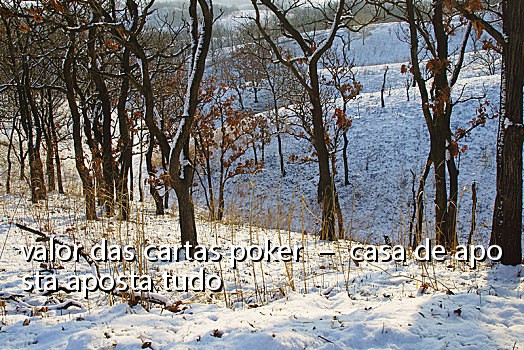 valor das cartas poker – casa de aposta aposta tudo