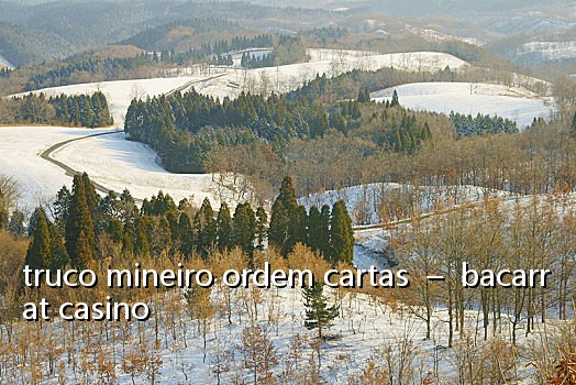 truco mineiro ordem cartas – bacarrat casino