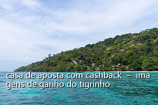 casa de aposta com cashback – imagens de ganho do tigrinho