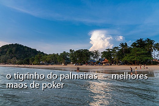 o tigrinho do palmeiras  –  melhores maos de poker