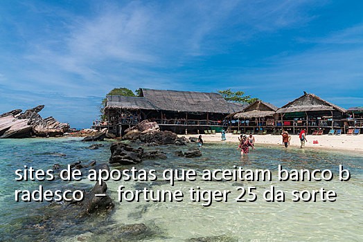 sites de apostas que aceitam banco bradesco – fortune tiger 25 da sorte