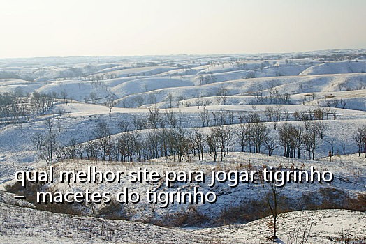 qual melhor site para jogar tigrinho  –  macetes do tigrinho