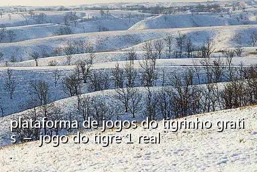 plataforma de jogos do tigrinho gratis  –  jogo do tigre 1 real