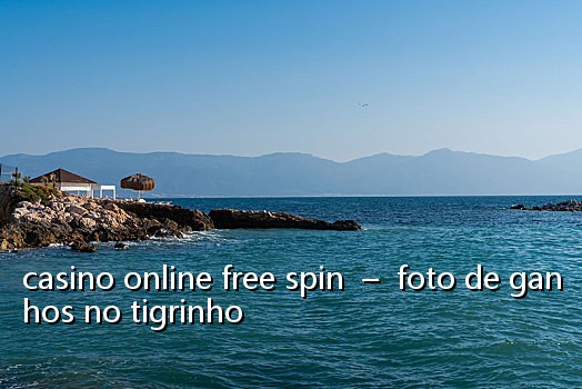 casino online free spin  –  foto de ganhos no tigrinho