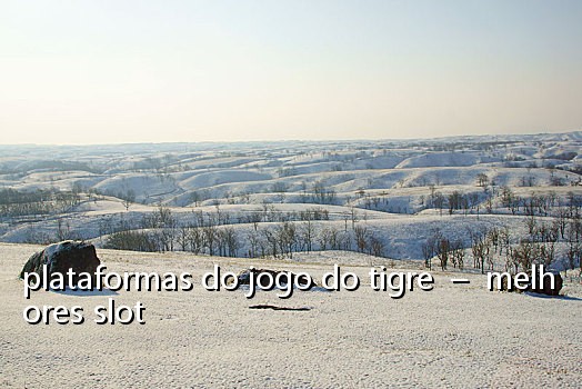 plataformas do jogo do tigre – melhores slot