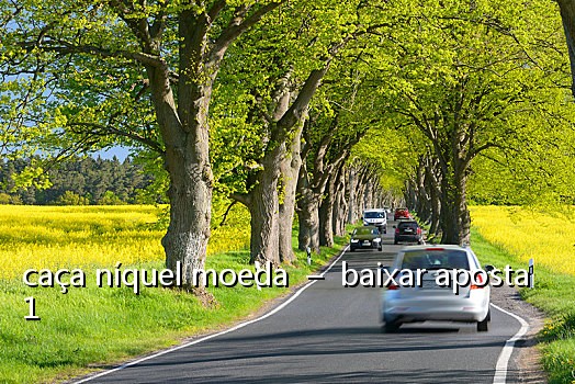 caça níquel moeda  –  baixar aposta 1